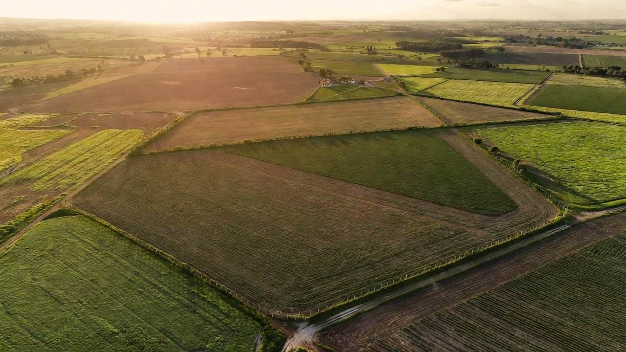 Regularização Fundiária e Imobiliária Rural